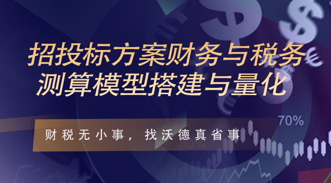 招投标方案财务与税务测算模型搭建与量化